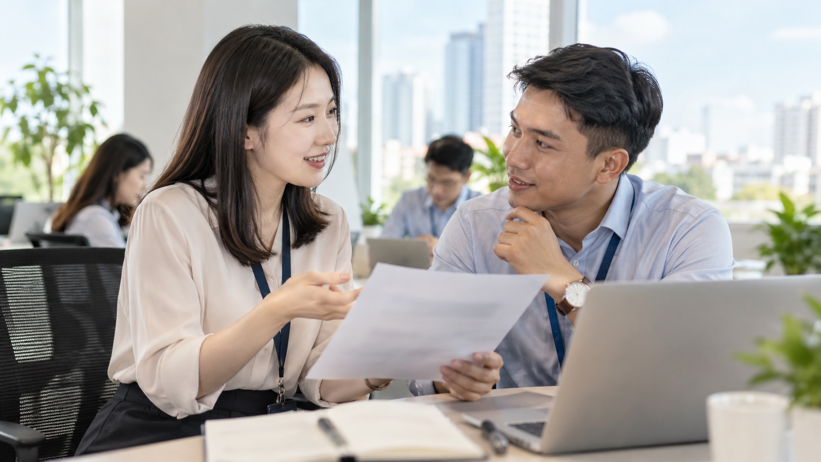 英語欄と応募資格が異なるときの確認方法のイメージ
